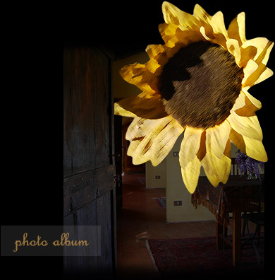 girasole room image